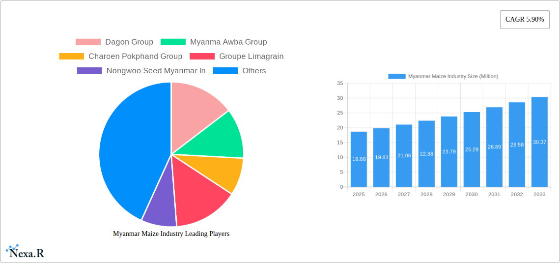 Myanmar Maize Industry Research Report - Market Size, Growth & Forecast