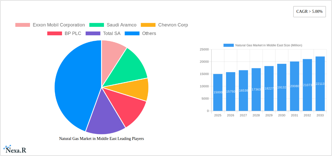 Natural Gas Market in Middle East Research Report - Market Size, Growth & Forecast