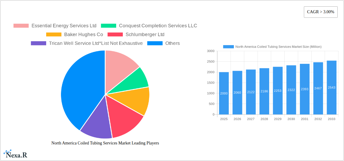 North America Coiled Tubing Services Market Research Report - Market Size, Growth & Forecast