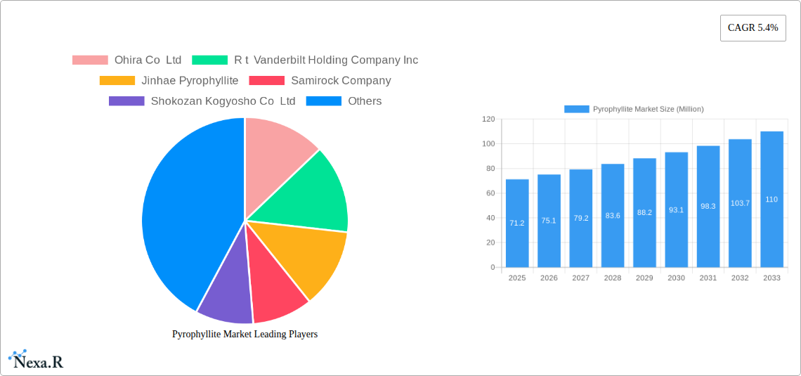 Pyrophyllite Market Research Report - Market Size, Growth & Forecast