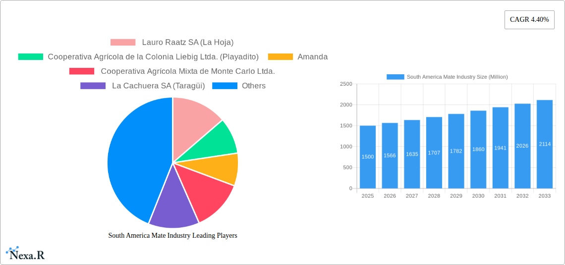 South America Mate Industry Research Report - Market Size, Growth & Forecast