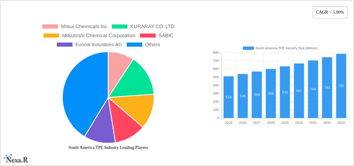 South America TPE Industry Research Report - Market Size, Growth & Forecast