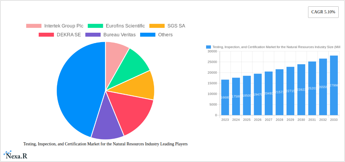 Testing, Inspection, and Certification Market for the Natural Resources Industry Research Report - Market Size, Growth & Forecast