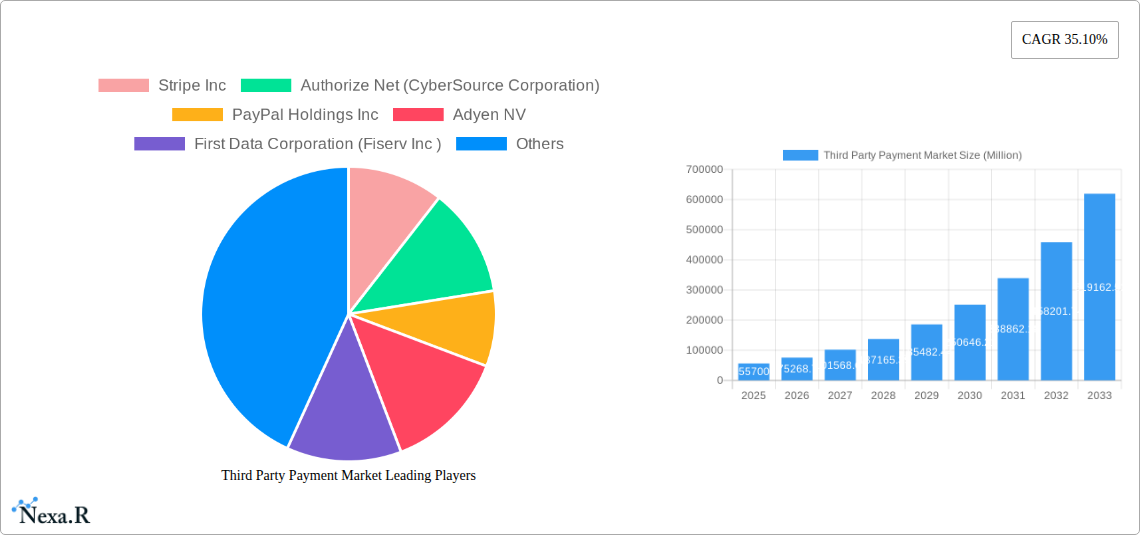 Third Party Payment Market Research Report - Market Size, Growth & Forecast