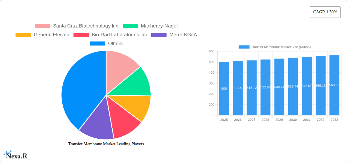 Transfer Membrane Market Research Report - Market Size, Growth & Forecast