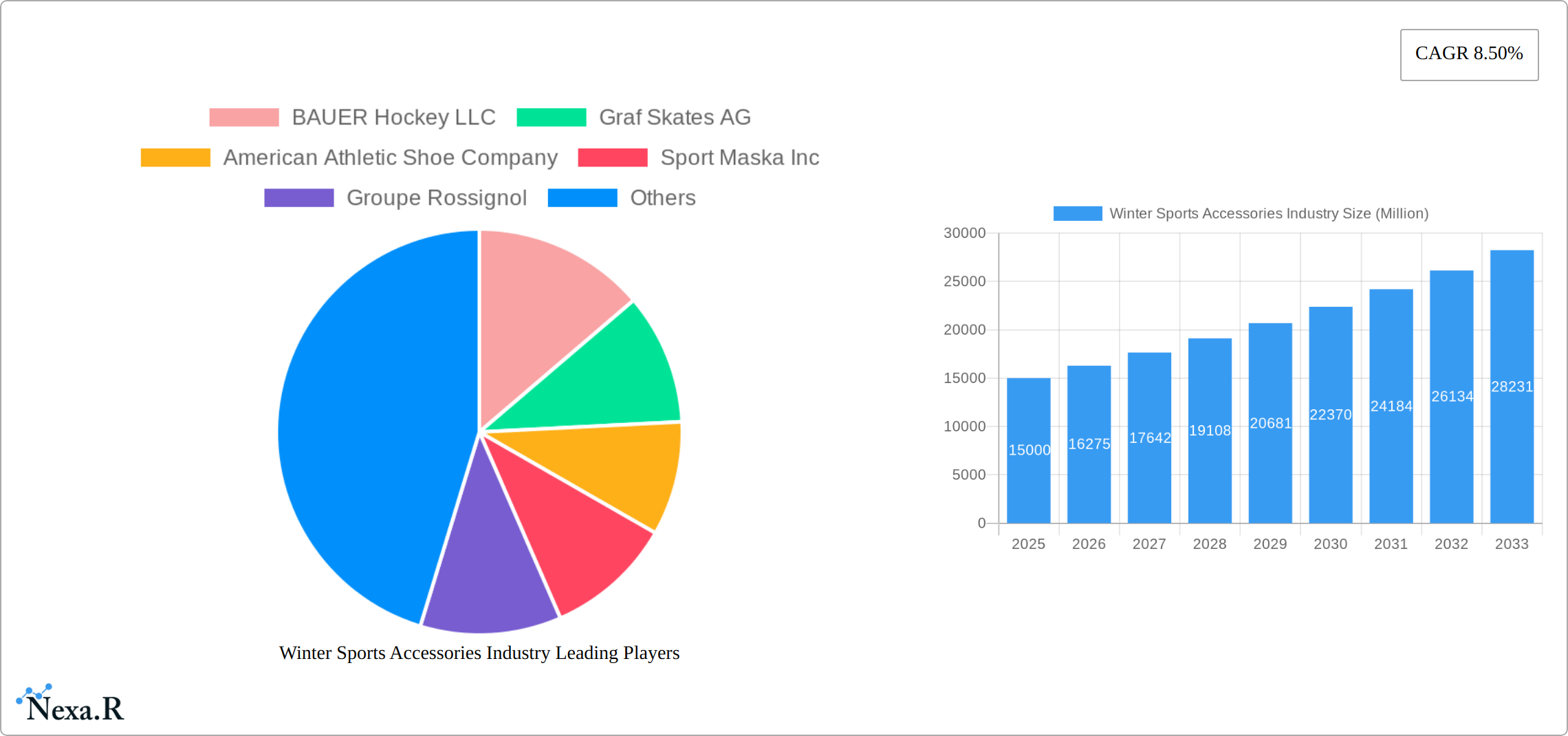 Winter Sports Accessories Industry Research Report - Market Size, Growth & Forecast