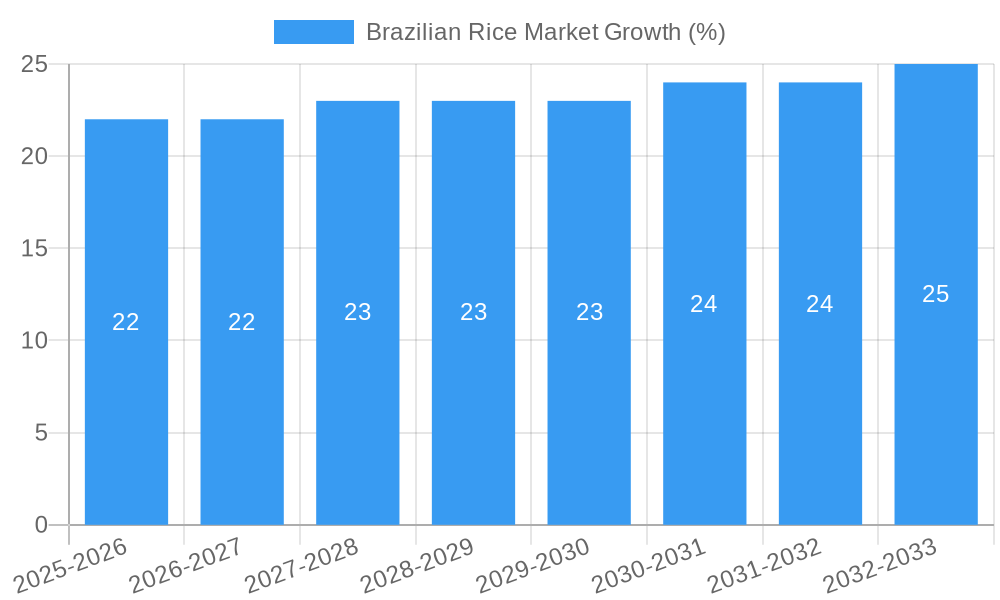 Brazilian Rice Market Growth