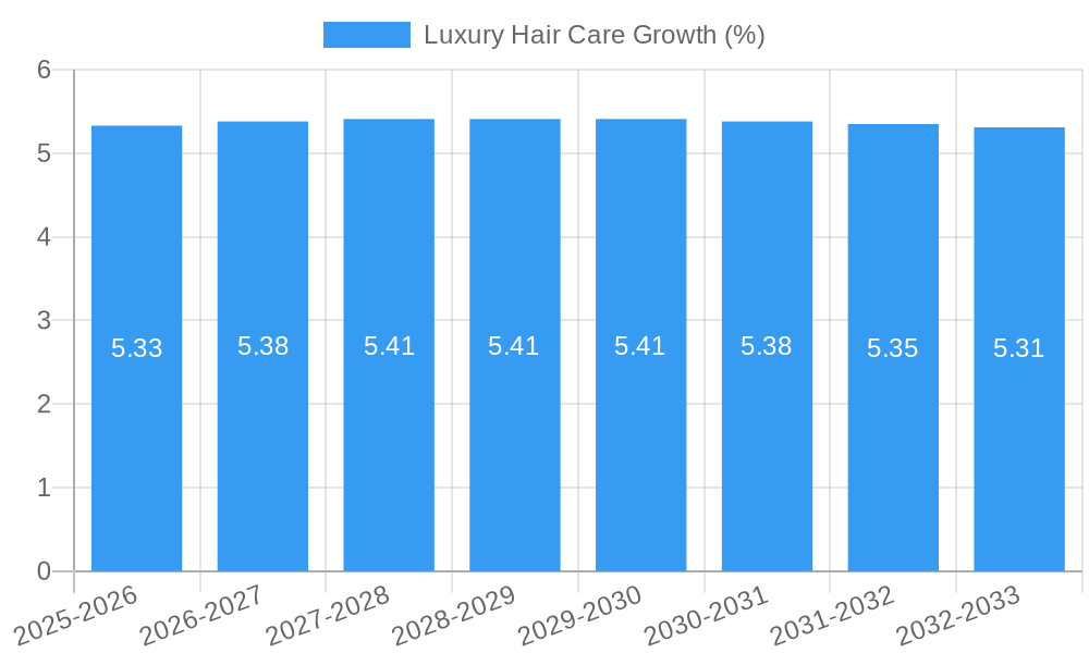 Luxury Hair Care Growth