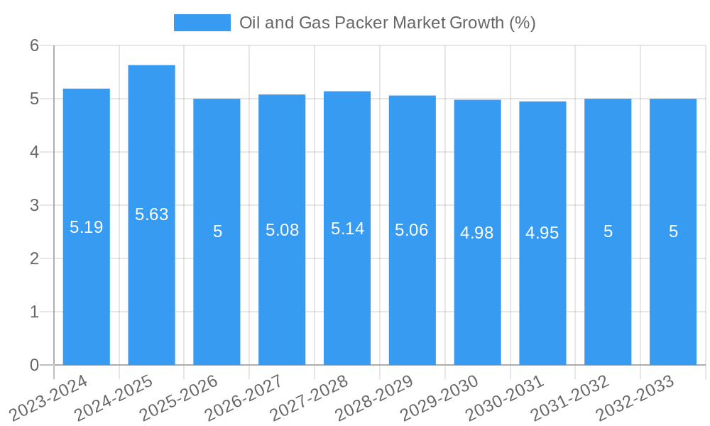 Oil and Gas Packer Market Growth