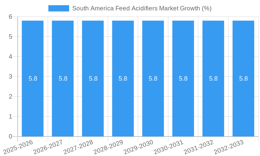 South America Feed Acidifiers Market Growth