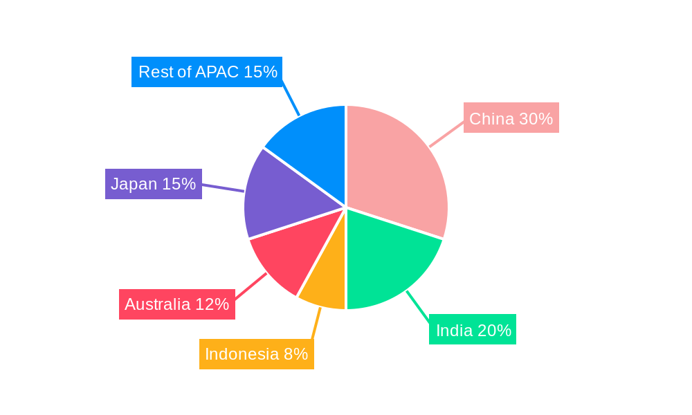 APAC Business Jet Market Regional Share