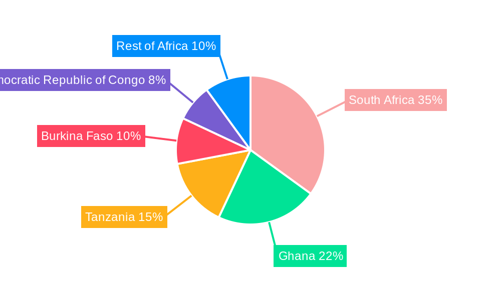 Africa Sodium Cyanide Industry Regional Share
