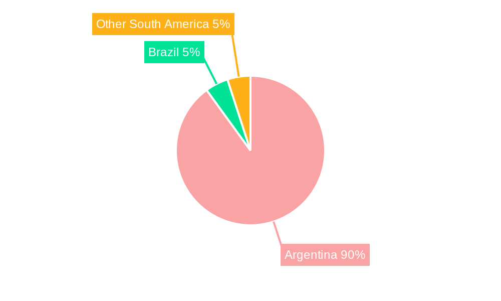 Argentina Grains Market Regional Share