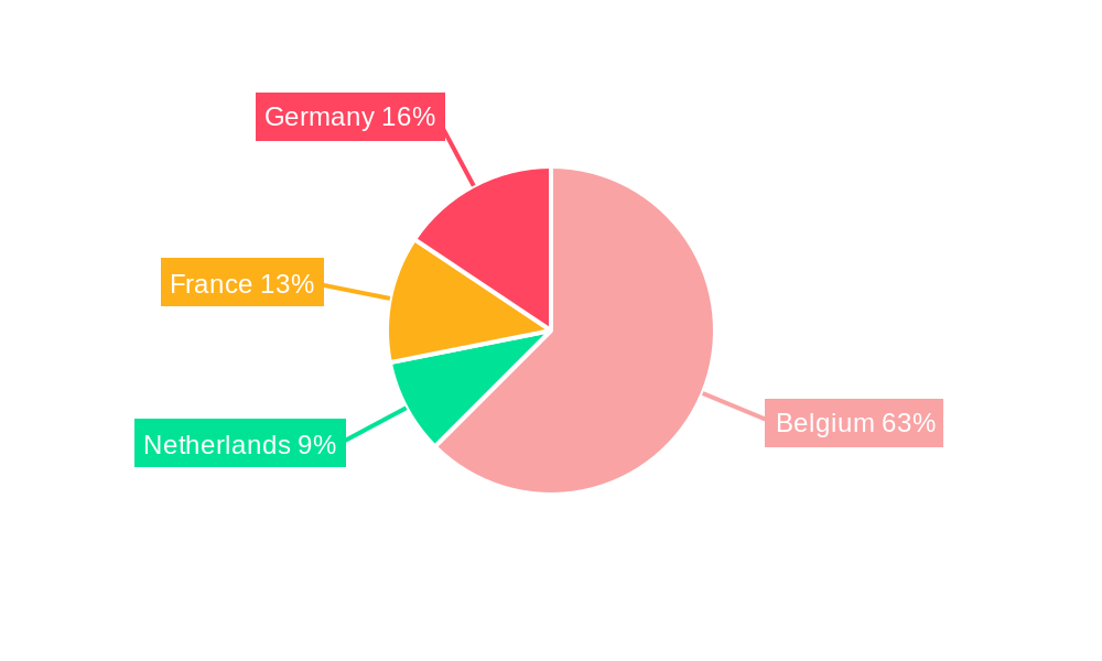 Belgium Cybersecurity Industry Regional Share