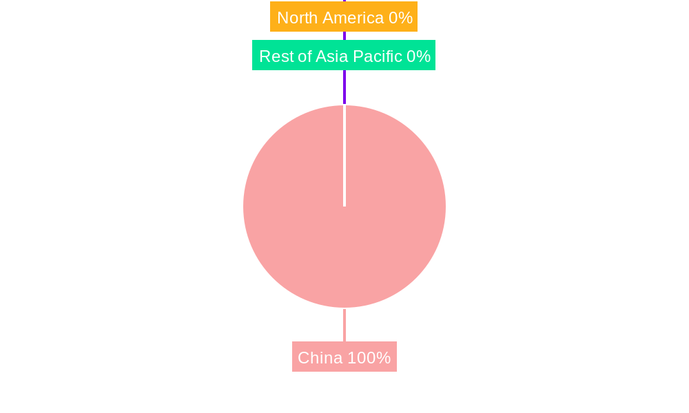 Chinese Soybean Milk Market Regional Share