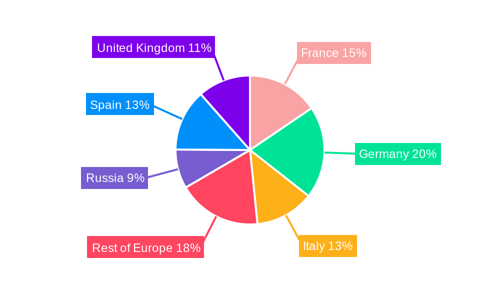 Europe Blood Glucose Monitoring Market Regional Share