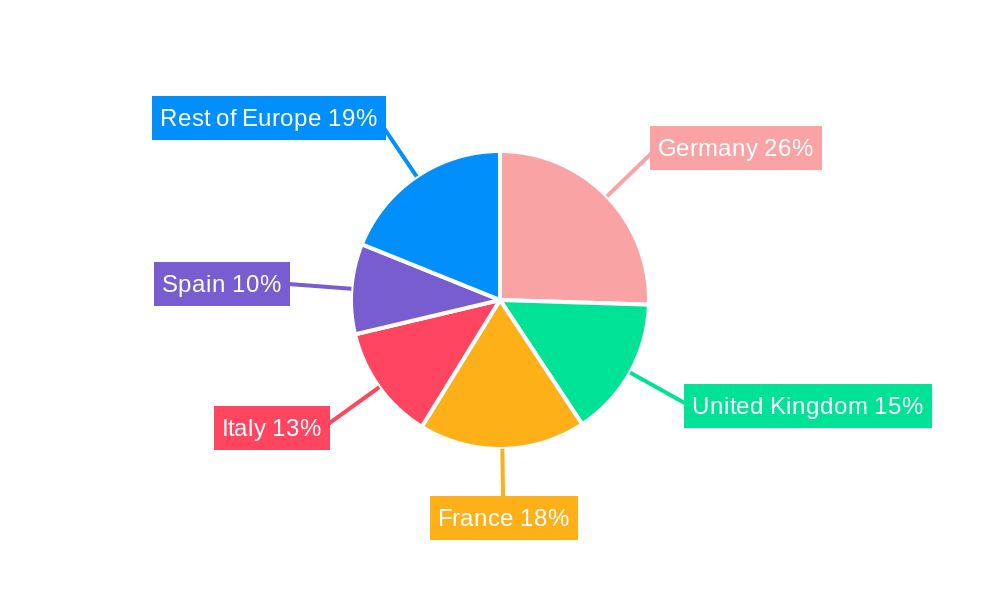 Europe Surface Treatment Chemicals Market Regional Share
