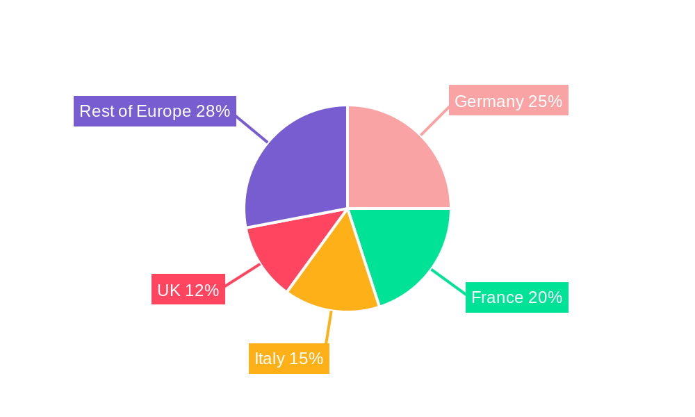 Europe Winter Sports Equipment Industry Regional Share