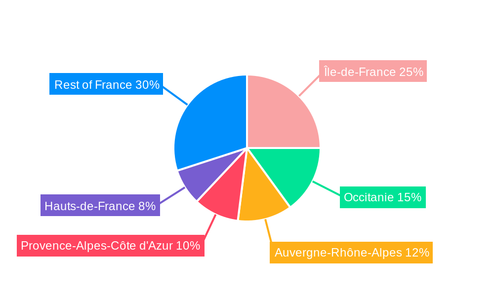 France Telecom Towers Market Regional Share