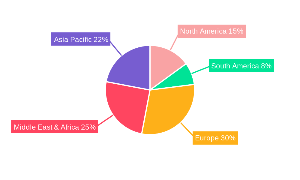 MEA Payments Industry Regional Share