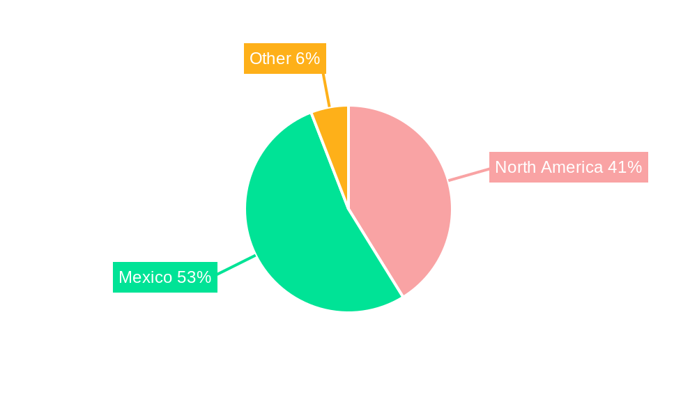 Mexico Automotive EPS Industry Regional Share