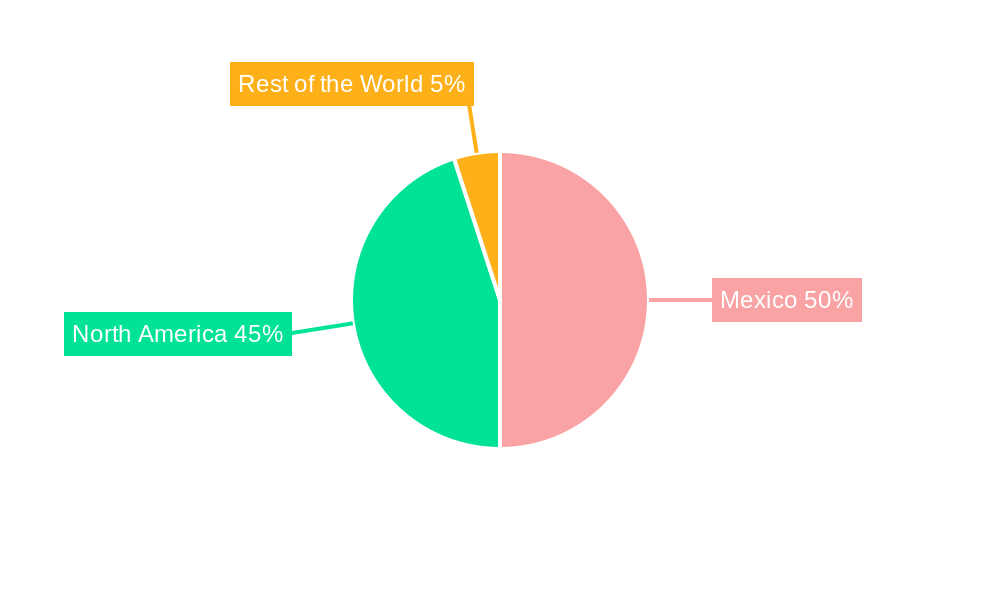 Mexico Automotive Parts Die Casting Market Regional Share