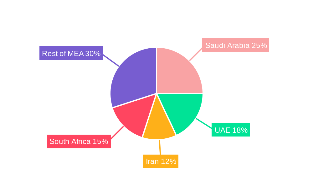Middle East & Africa Infrastructure Construction Market Regional Share