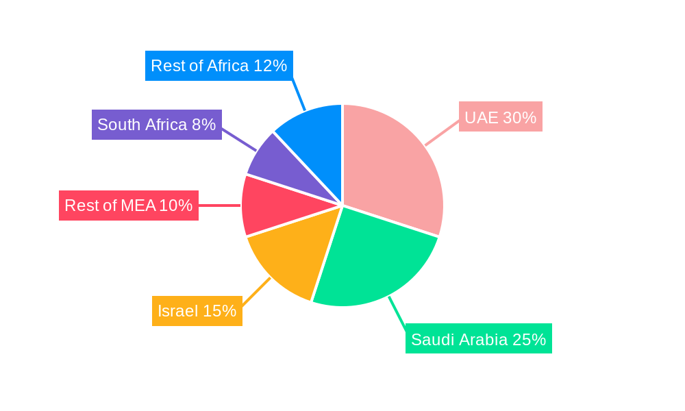 Middle East & Africa Location Analytics Industry Regional Share