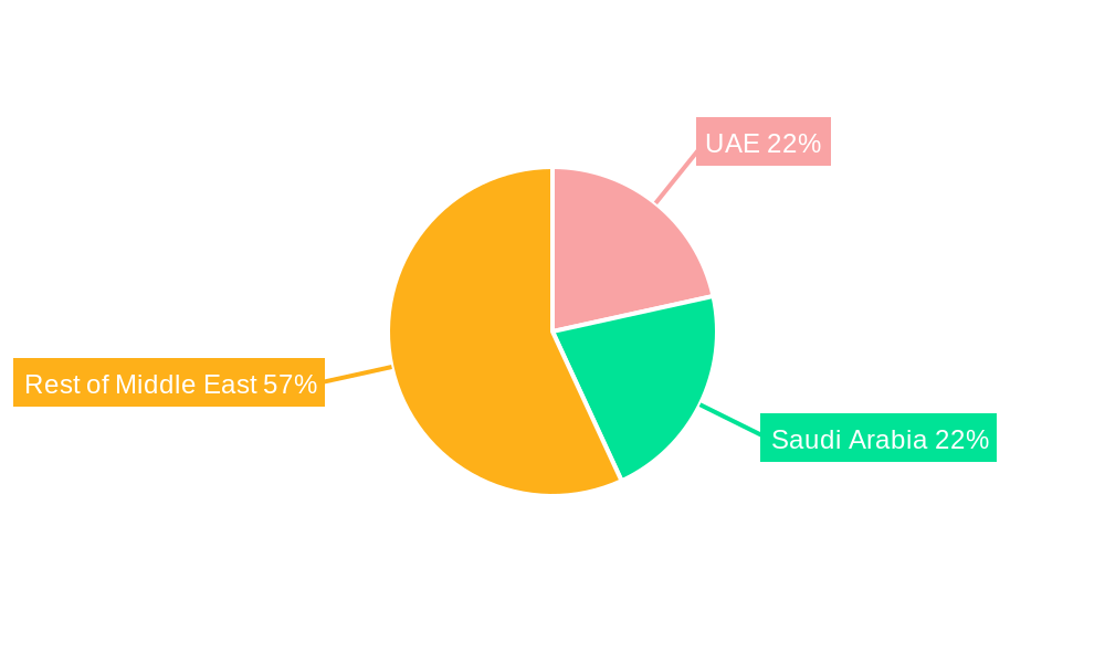 Middle East Geospatial Analytics Market Regional Share