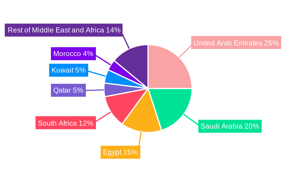 Middle East and Africa Aerosol Disinfectants Market Regional Share