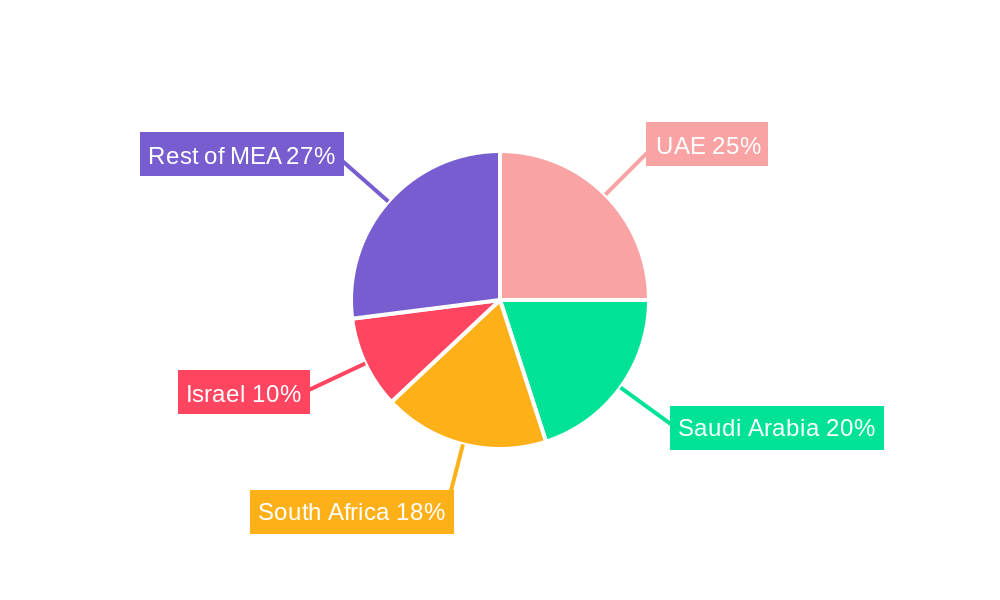 Middle East and Africa Automated Material Handling Industry Regional Share