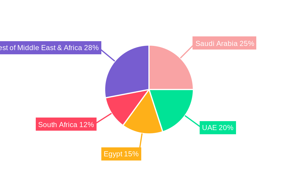 Middle East and Africa Thermal Power Market Regional Share