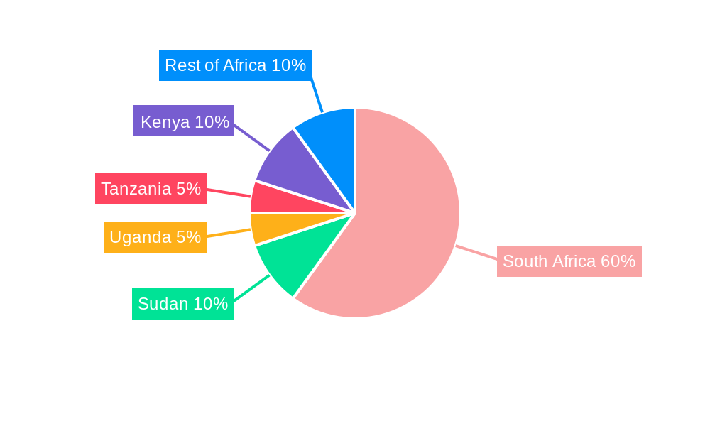 Packaging Industry in South Africa Regional Share