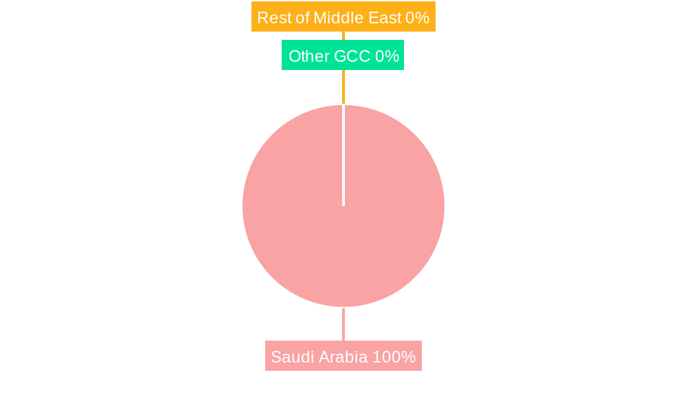 Paint and Coating Industry in Saudi Arabia Regional Share