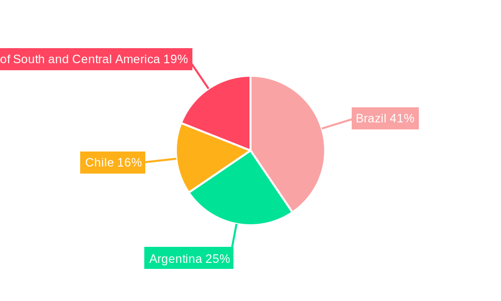 South & Central America Smart Grid Industry Regional Share
