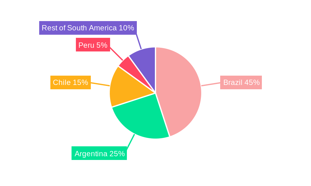 South America Automotive High Performance Electric Vehicles Industry Regional Share