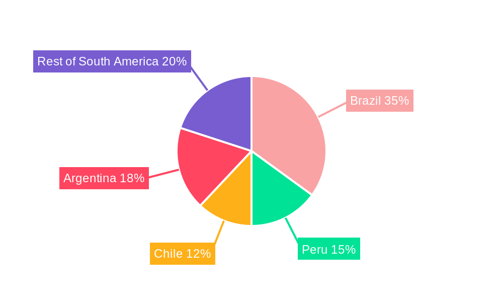 South America Feed Probiotics Market Market Share by Region - Global Geographic Distribution