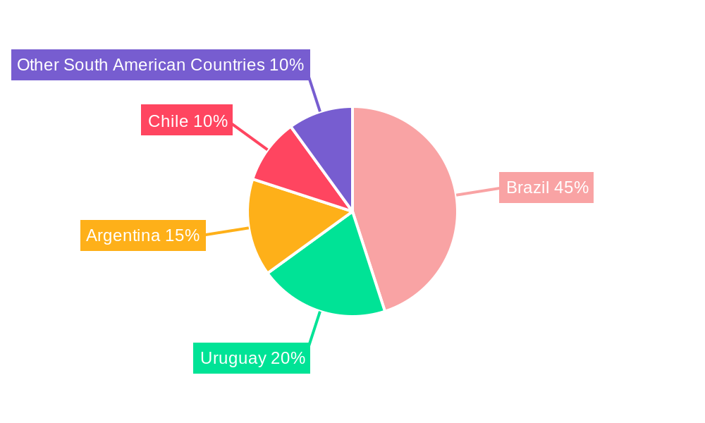 South America Offshore Wind Power Market Regional Share