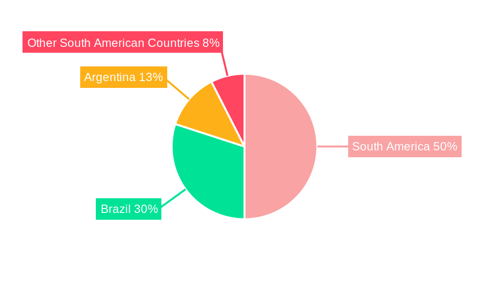 South America Outdoor LED Lighting Market Regional Share