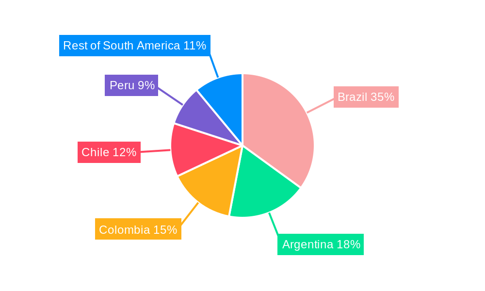 South America Paints and Coatings Market Regional Share