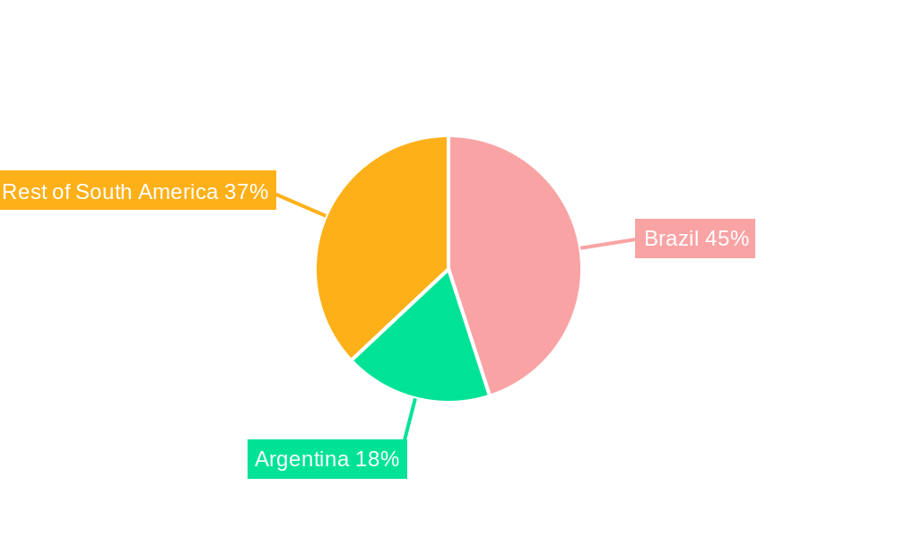South America TPE Industry Regional Share