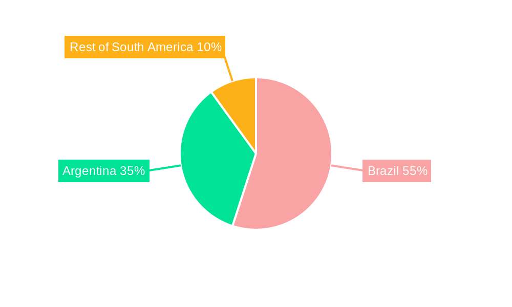 South America Wine Market Regional Share