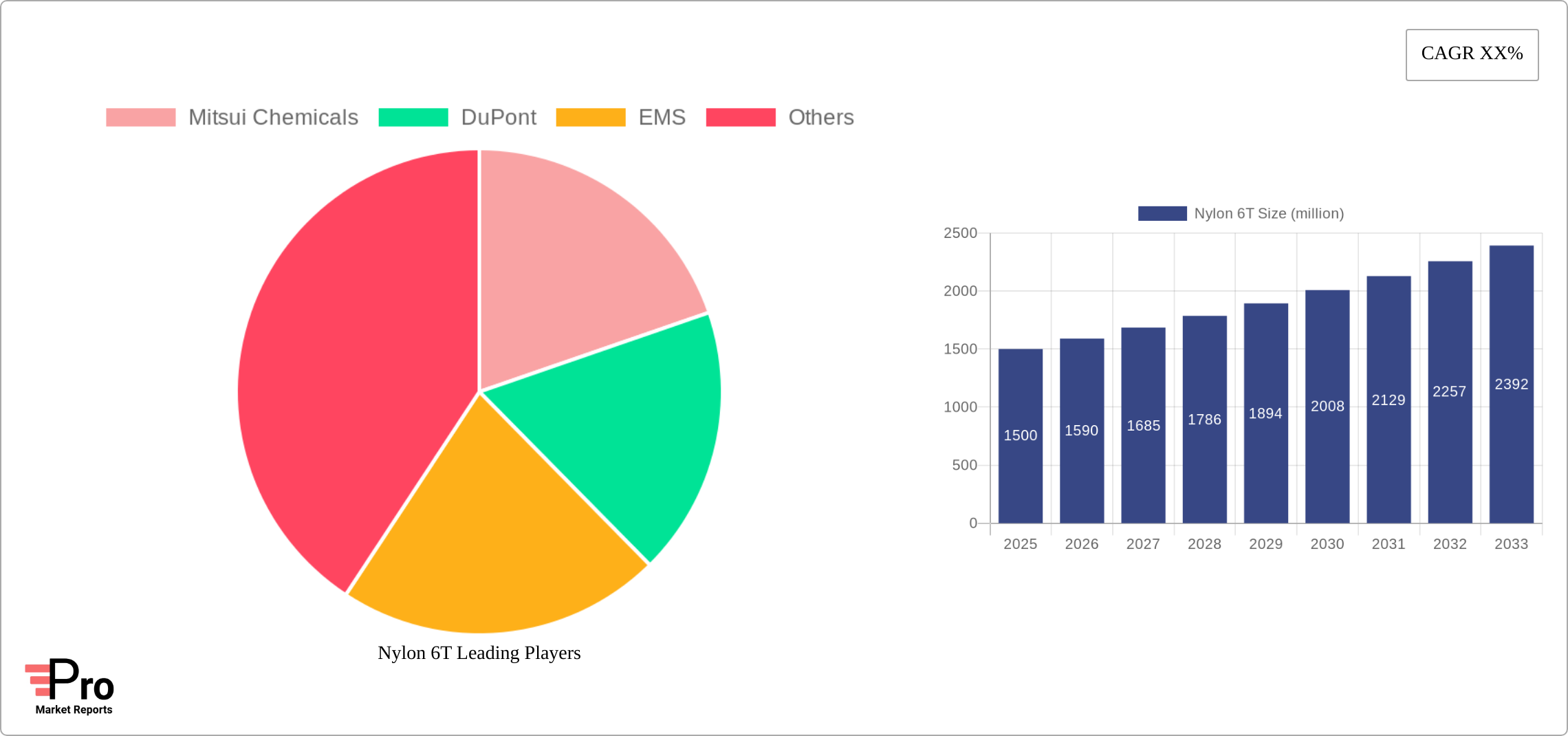 Nylon 6T Research Report - Market Size, Growth & Forecast