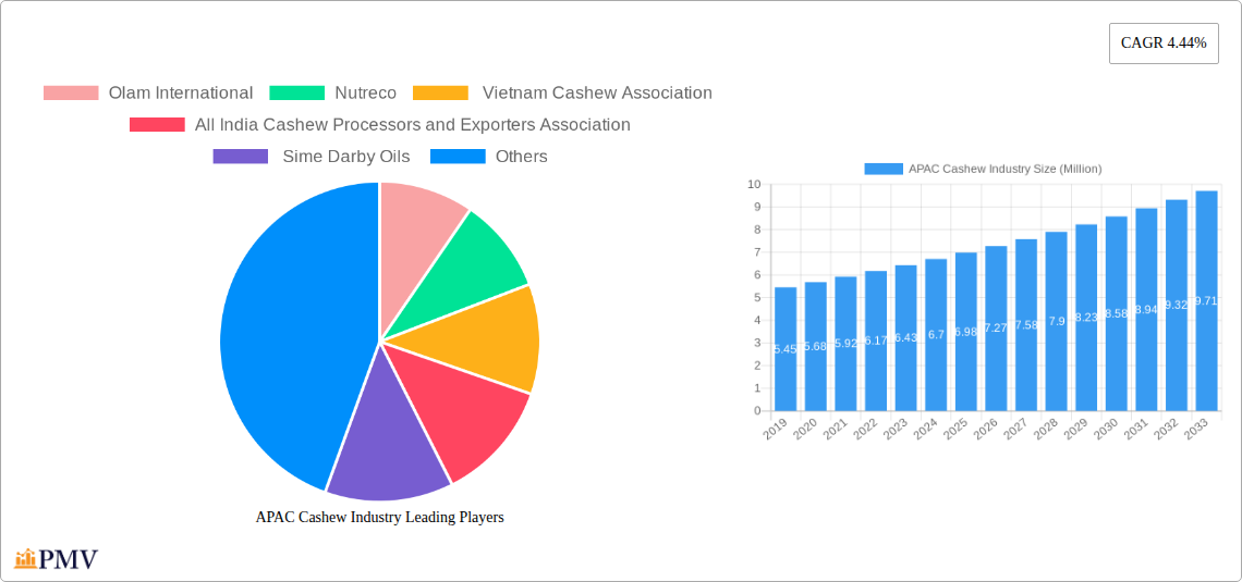 APAC Cashew Industry Research Report - Market Size, Growth & Forecast