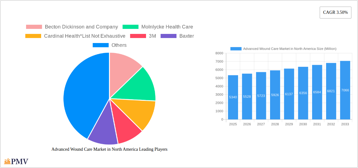 Advanced Wound Care Market in North America Research Report - Market Size, Growth & Forecast