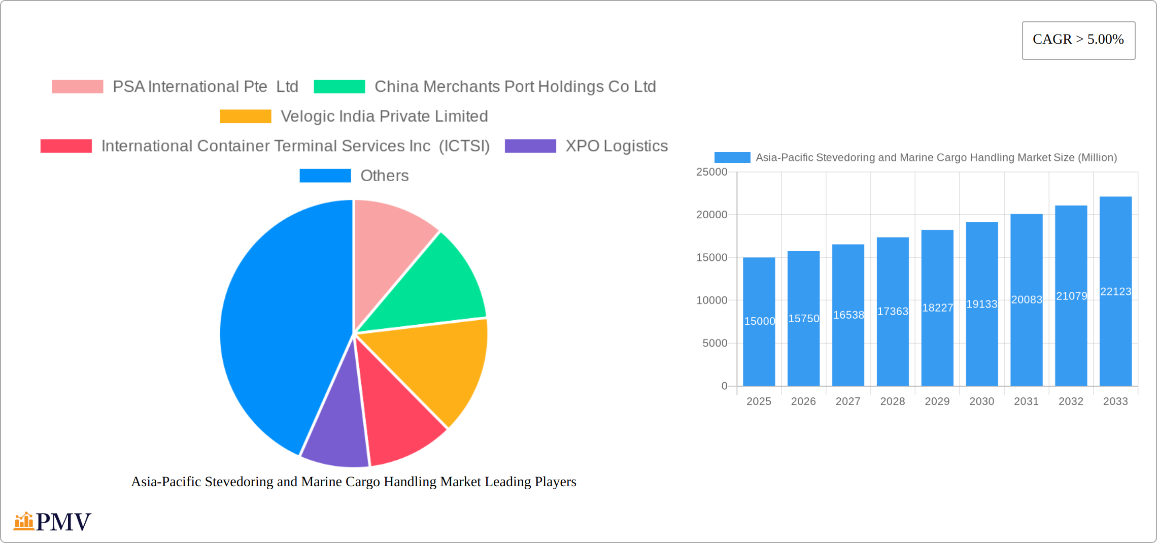 Asia-Pacific Stevedoring and Marine Cargo Handling Market Research Report - Market Size, Growth & Forecast