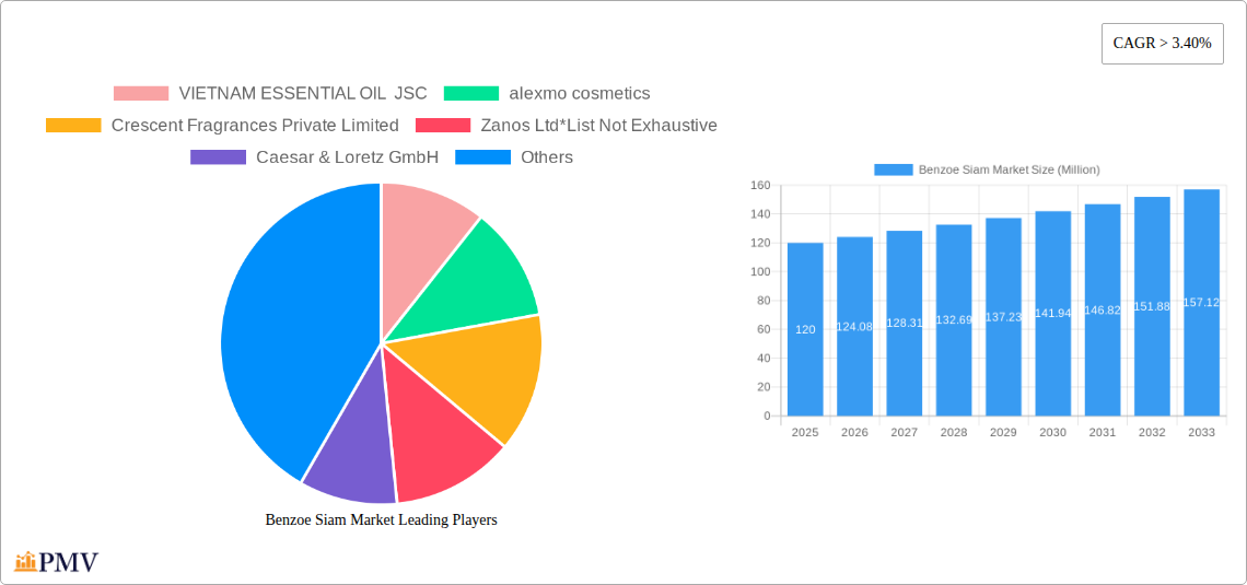Benzoe Siam Market Research Report - Market Size, Growth & Forecast