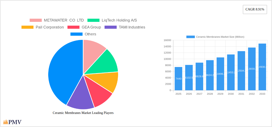 Ceramic Membranes Market Research Report - Market Size, Growth & Forecast
