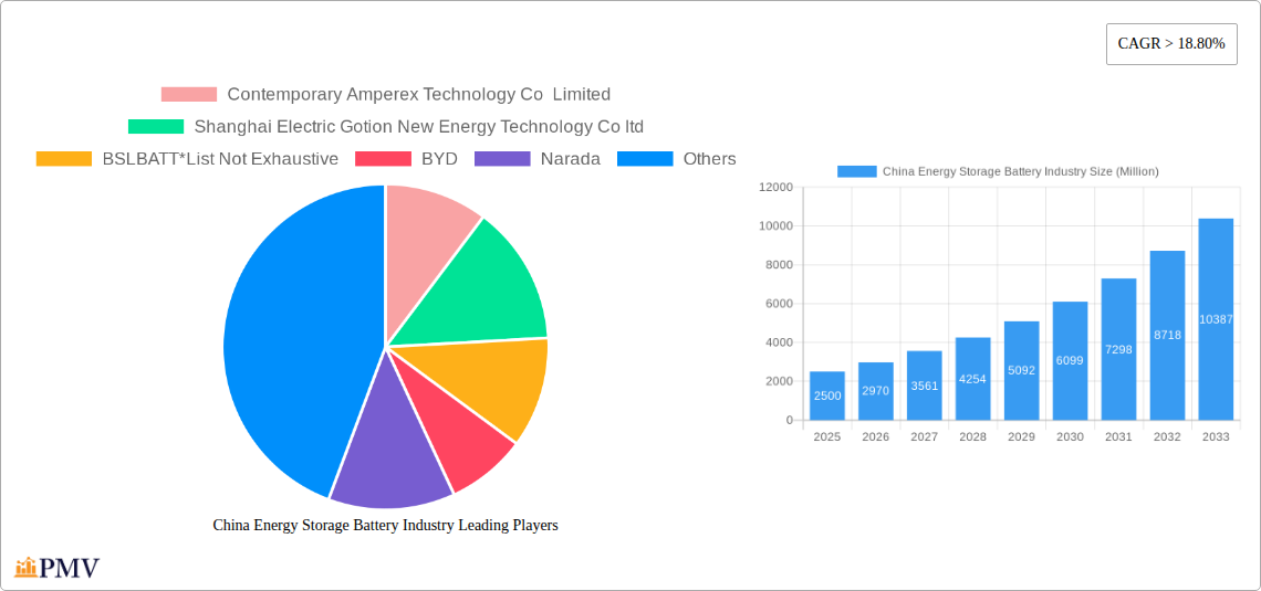 China Energy Storage Battery Industry Research Report - Market Size, Growth & Forecast