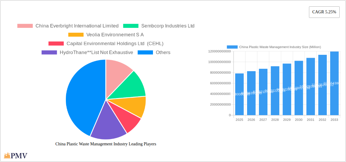 China Plastic Waste Management Industry Research Report - Market Size, Growth & Forecast